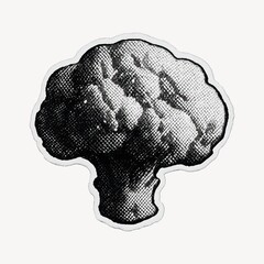 Vintage textured broccoli illustration