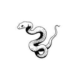 Stylized depiction of a snake coiled with a prominent head and slender tail in black and white ink