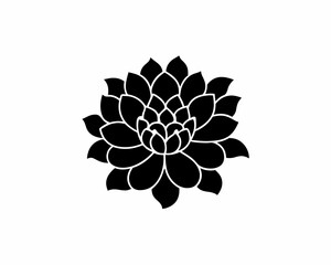 creative details chrysanthemum icon Vector Illustration	