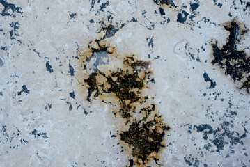 Close-up of granite texture on a street floor. Texture, background for work. Abstract. Copy space.