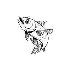 Fototapeta premium Detailed line art illustration featuring a jumping fish evoking nature and wildlife themes and vintage