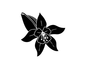 creative details Columbine Flower Icon vector illustration
