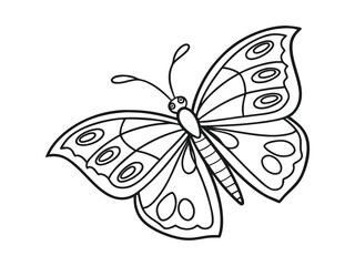 Butterfly coloring page for children and adults. Hand-drawn vector illustration in black outline on a white background