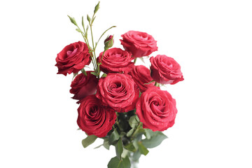 Red Roses Bouquet, Isolated Background