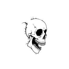 Detailed skull illustration with intricate linework portraying human anatomy and mortality in a minimalist style