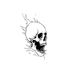 Stylized skull with flames design illustrating the ephemeral nature of life and inevitable mortality concept