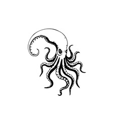 Elegant octopus illustration captivating marine life with its intricate details and captivating allure, showcasing beauty