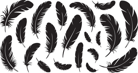 Fototapeta premium Feather Silhouette Collection Vector Art for Avian and Flight Projects