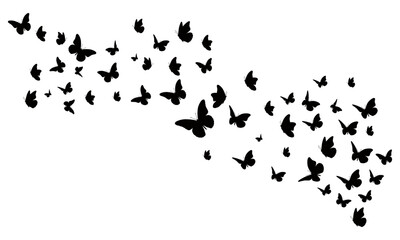 Butterfly silhouettes arranged in a flowing pattern, ideal for elegant backgrounds, natural designs, ethereal concepts, and various graphic elements and projects.