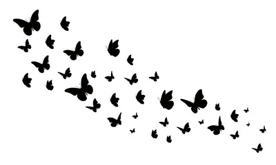 Butterfly swarm illustration in black silhouettes, creating a graceful design element for various projects including decorative patterns, backgrounds, nature themes, and elegant graphic assets.