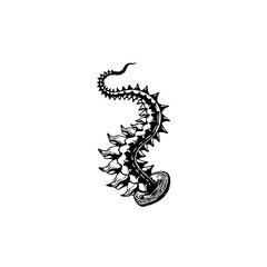 Mysterious sea monster tentacle illustration perfect for fantasy book covers and horror themed designs ideal