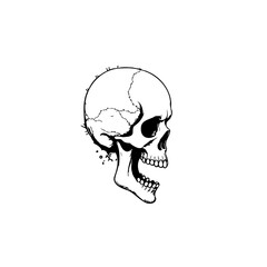 Dramatic depiction of a human skull against a plain white background evoking mortality symbolism with artistic flair