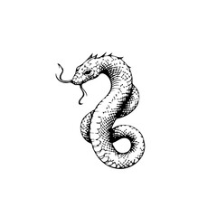 Black and white drawing of a snake coiled and ready to strike is an interesting design snake vector