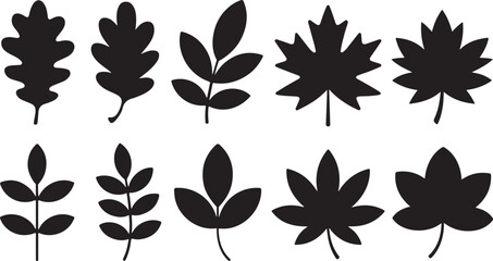 Silhouette Leaves Vector Illustration Set Autumnal Foliage Nature Elements