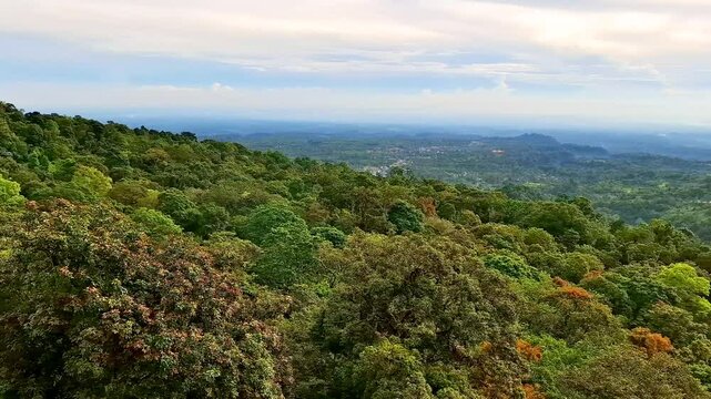 Forest landscape in the Parapat area, North Sumatra. Panoramic view of the green protected natural forest in the midday sun.