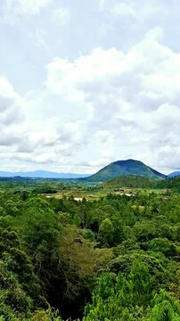 Forest landscape in the Parapat area, North Sumatra. Panoramic view of the green protected natural forest in the midday sun.