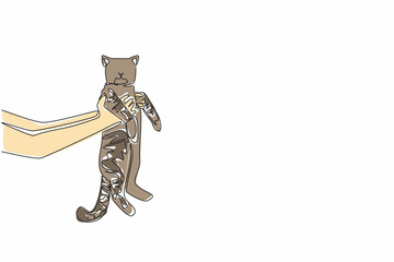 Single one line drawing tabby cat carried by 2 hands. Play with the favorite cat. Thick and smooth hair. Friendship. Domestic. Cute. National Tabby Day. Continuous line design graphic illustration