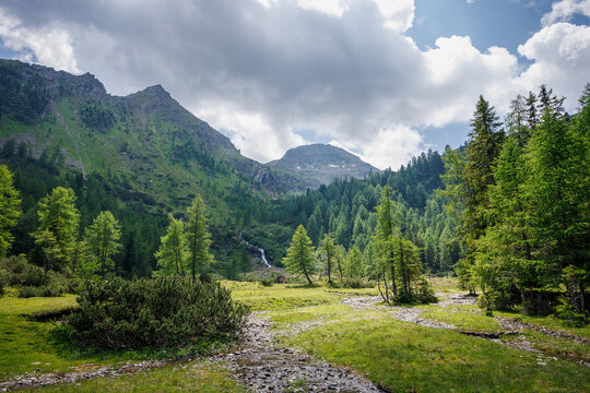 Lush alpine meadow and evergreen forest below mountain ridges in Styria, Austria, near Duisitzkarsee hiking area
