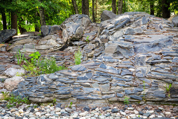 The landscape with boulders and stones is gray on a clear sunny day. Flora floristry landscaping plants flowers.