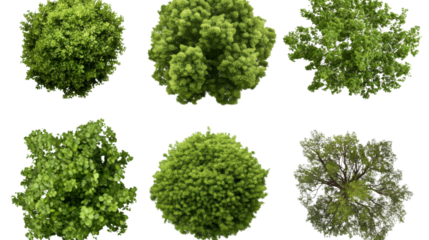 Set of unique green trees with varied shapes and lush foliage isolated on white background
