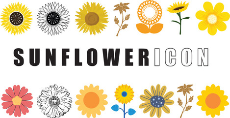 Sunflower icon, flower, sunflower, floral, blossom and petal vector icon set design