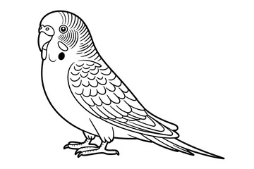Fototapeta premium A parakeet, outlined in black ink. 