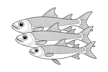 Obraz premium Three fish swimming in a row. 