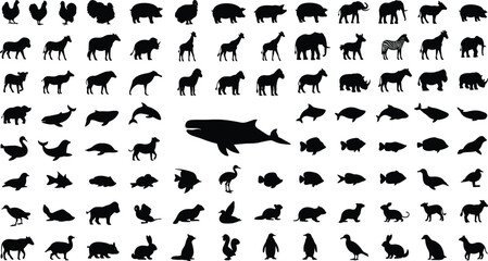 silhouettes of birds on a branch