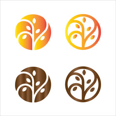 Golden Floral Minimalism: Elegant Wood & Flower Design. Perfect for branding, websites, and