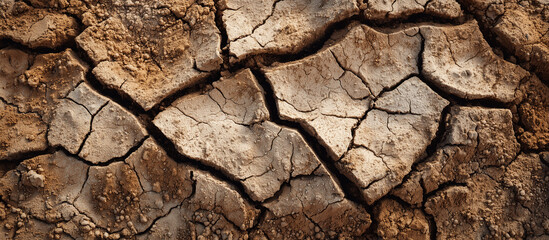 Close up on dry, cracked earth banner