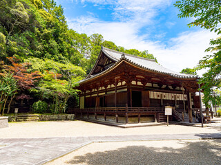 【奈良県】奈良市 霊山寺 (2025/06/25撮影)