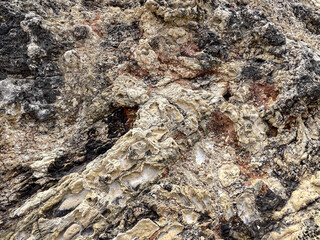 A close-up of a textured rock surface