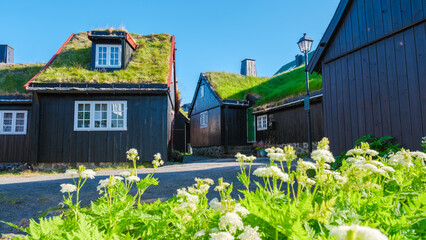 Picturesque village with grass-roofed houses in the Faroe Islands on a sunny day