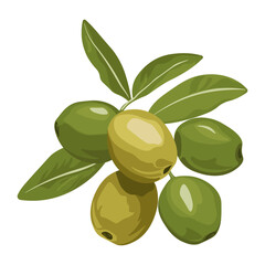Bright illustration of ripe olives in different colors with green leaves, natural food element, isolated without background