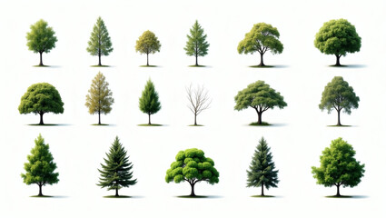 Collection of various green trees of different types and sizes, perfect for design use