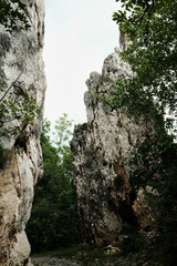 Tall limestone formations rise above the trail in Lazarev Canyon, Serbia. Rugged vertical rocks framed by trees under a spring sky.