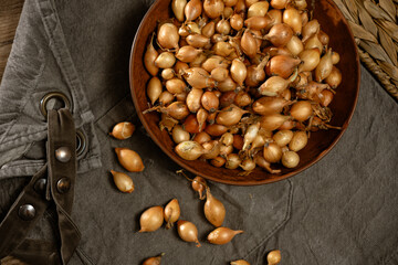 Freshly harvested shallots in a rustic wooden bowl on a textured fabric background