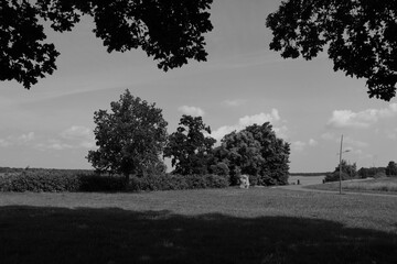 Schwarz-weiß
