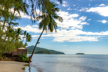 Iconic coconut palm leaning over turquoise waters at Kai Bae Beach, with jungle mountains and small...