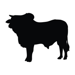 silhouette of a bull with a separate white background