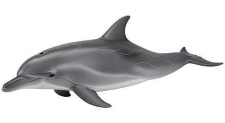 Isolated Bottlenose Dolphin