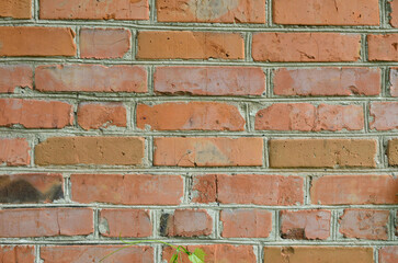 Brick wall close-up	