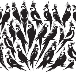 Cockatiel Parrot Vector 