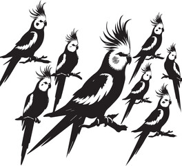 Cockatiel Parrot Vector 