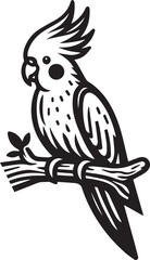 Cockatiel Parrot Vector 
