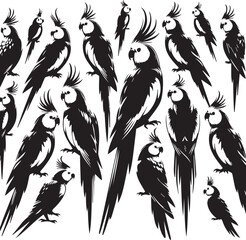 Cockatiel Parrot Vector 