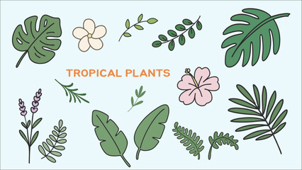 열대 식물 일러스트 세트 &ndash; 여름 휴양, 리조트 감성 그래픽 요소