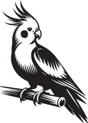 Cockatiel Parrot Vector 
