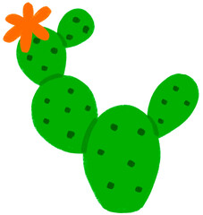 cactus illustrations