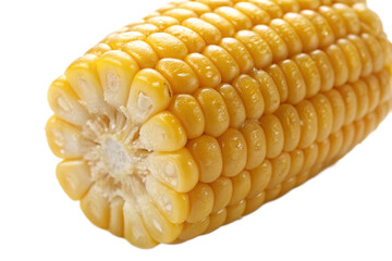 Close-up of Fresh Yellow Corn on the Cob